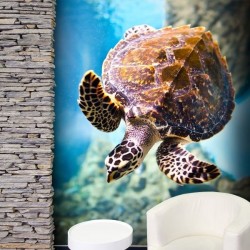 Déco murale tortue marine